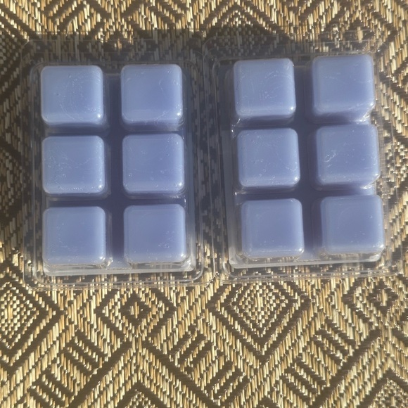 2 Scented Wax Cubes Melts Frosted Forest alpine eucalyptus & wood ScentSationals - Picture 2 of 5